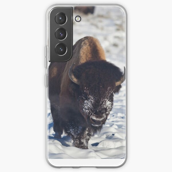 Bison in Yellowstone Samsung Galaxy Soft Case RB1608 product Offical yellowstone Merch