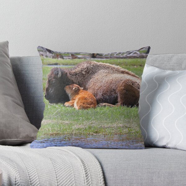Bison and Calf Napping, Yellowstone Throw Pillow RB1608 product Offical yellowstone Merch