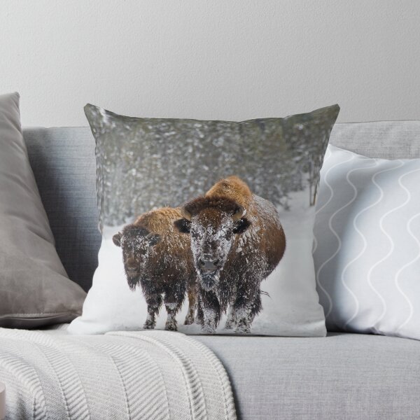 Bison in the Snow, Yellowstone National Park Throw Pillow RB1608 product Offical yellowstone Merch